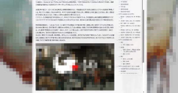 Japanese Court Convicts Spoiler Website Operator for Copyright Violations