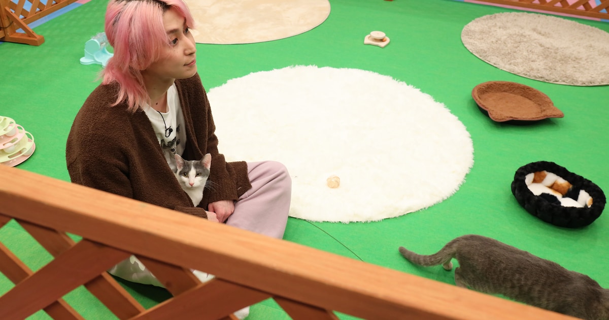 Snow Man's Sakuma to Explore Cat Photo Books on Special TV Show