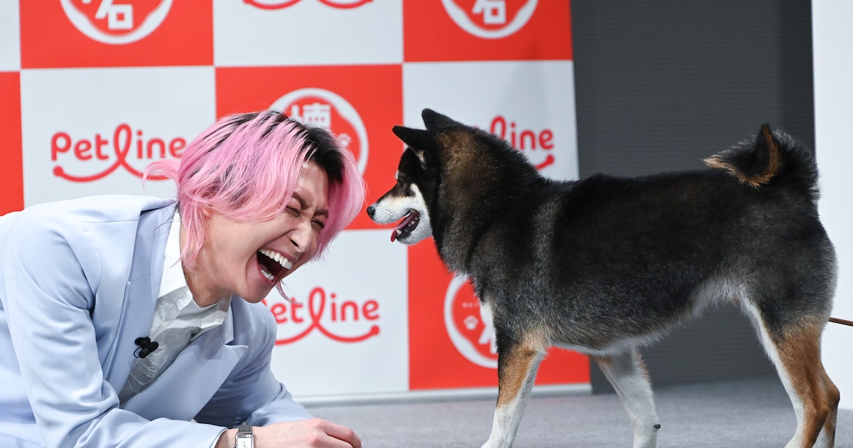 Snow Man's Sakuma Daisuke Stars in New Pet Food Commercial Campaign